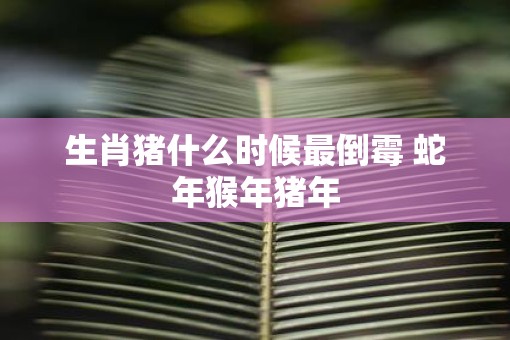 生肖猪什么时候最倒霉 蛇年猴年猪年