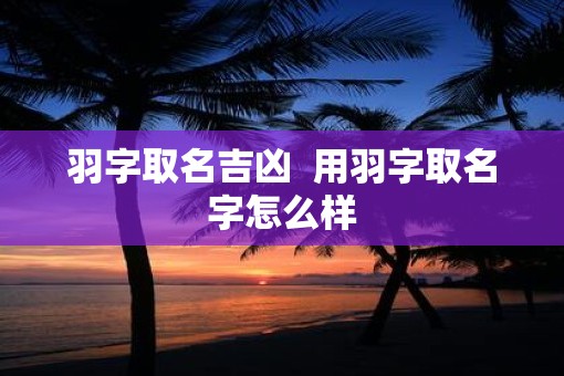 羽字取名吉凶  用羽字取名字怎么样