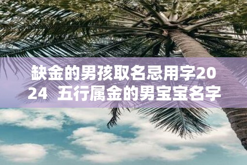 缺金的男孩取名忌用字2025  五行属金的男宝宝名字用字