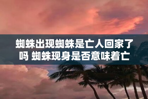 蜘蛛出现蜘蛛是亡人回家了吗 蜘蛛现身是否意味着亡者归来