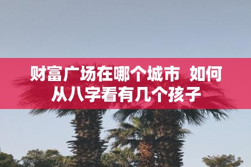 财富广场在哪个城市  如何从八字看有几个孩子