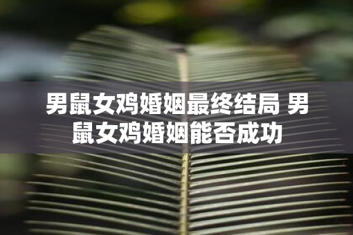 男鼠女鸡婚姻最终结局 男鼠女鸡婚姻能否成功 男鼠女鸡婚姻最终结局 男鼠女鸡婚姻能否成功
