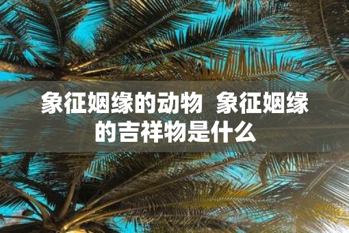 象征姻缘的动物  象征姻缘的吉祥物是什么