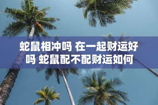 蛇鼠相冲吗 在一起财运好吗 蛇鼠配不配财运如何
