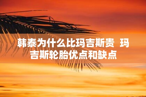 韩泰为什么比玛吉斯贵  玛吉斯轮胎优点和缺点