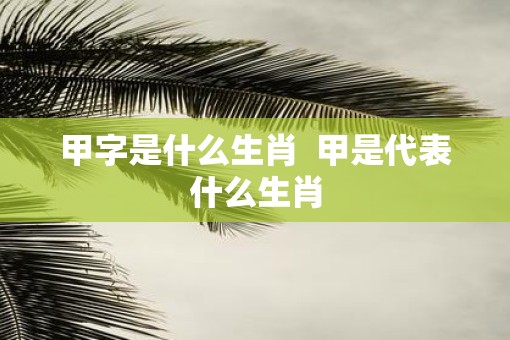 甲字是什么生肖  甲是代表什么生肖