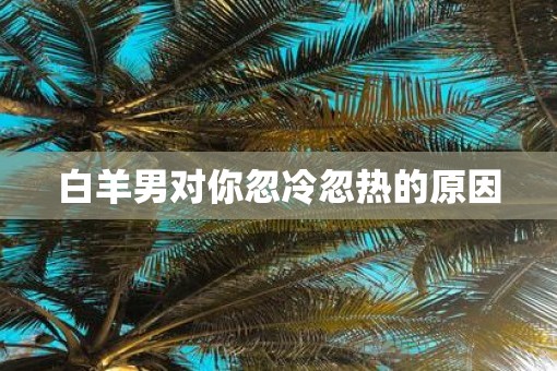 白羊男对你忽冷忽热的原因
