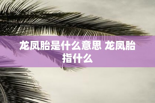龙凤胎是什么意思 龙凤胎指什么