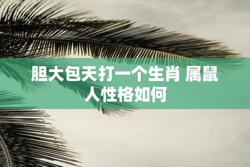 胆大包天打一个生肖 属鼠人性格如何
