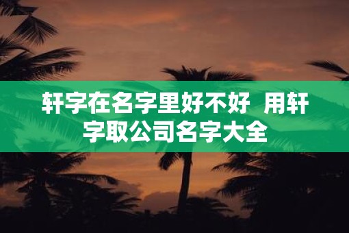 轩字在名字里好不好  用轩字取公司名字大全
