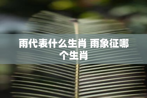 雨代表什么生肖 雨象征哪个生肖