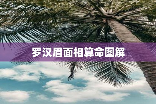 罗汉眉面相算命图解