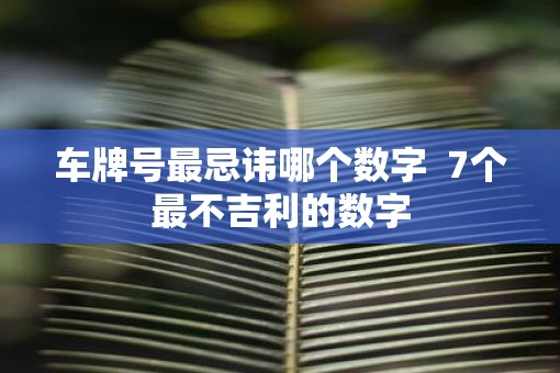 车牌号最忌讳哪个数字  7个最不吉利的数字