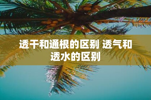 透干和通根的区别 透气和透水的区别