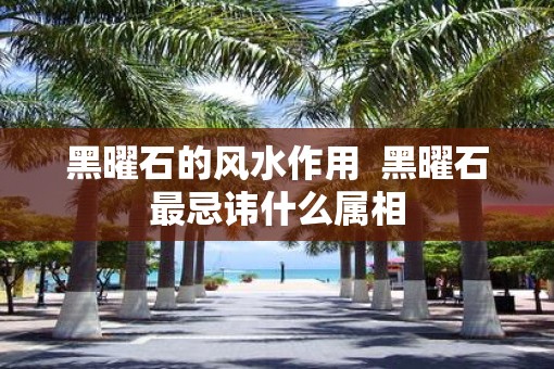 黑曜石的风水作用  黑曜石最忌讳什么属相