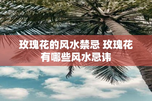 玫瑰花的风水禁忌 玫瑰花有哪些风水忌讳