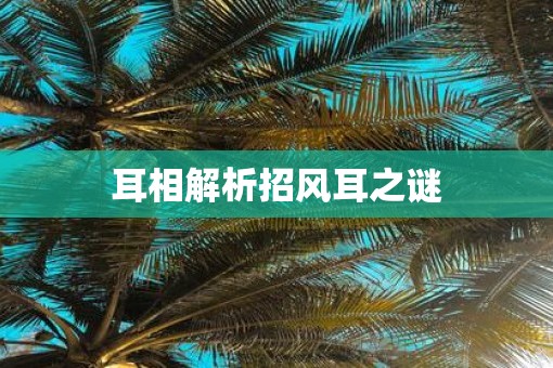 耳相解析招风耳之谜