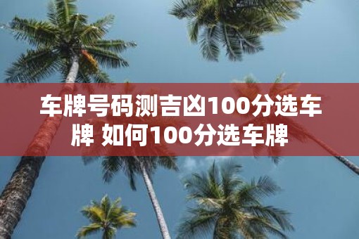 车牌号码测吉凶100分选车牌 如何100分选车牌