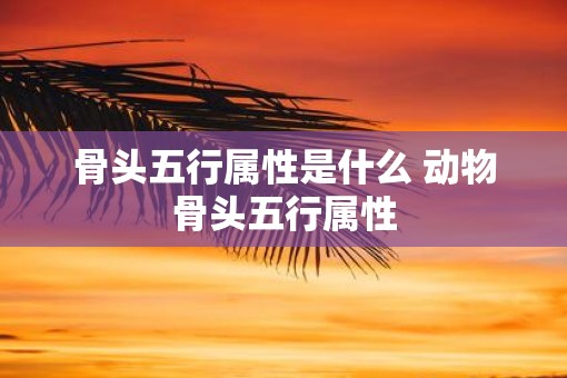 骨头五行属性是什么 动物骨头五行属性