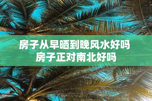 房子从早晒到晚风水好吗 房子正对南北好吗