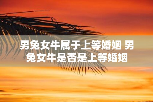 男兔女牛属于上等婚姻 男兔女牛是否是上等婚姻