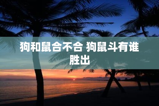 狗和鼠合不合 狗鼠斗有谁胜出