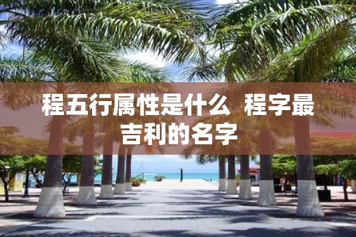 程五行属性是什么  程字最吉利的名字