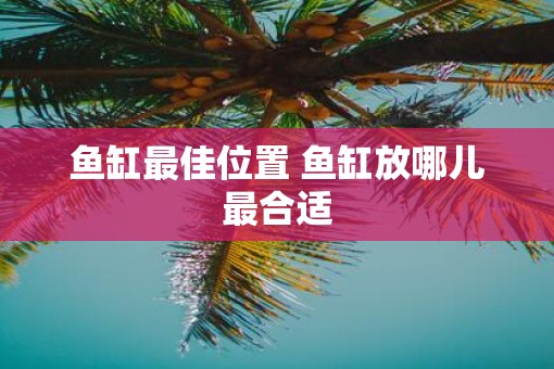 鱼缸最佳位置 鱼缸放哪儿最合适