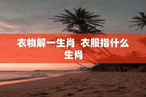 衣物解一生肖  衣服指什么生肖
