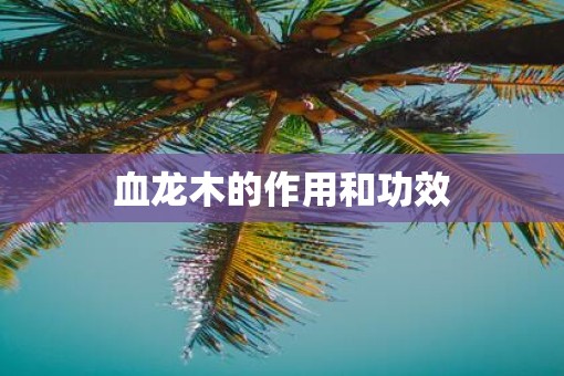 血龙木的作用和功效