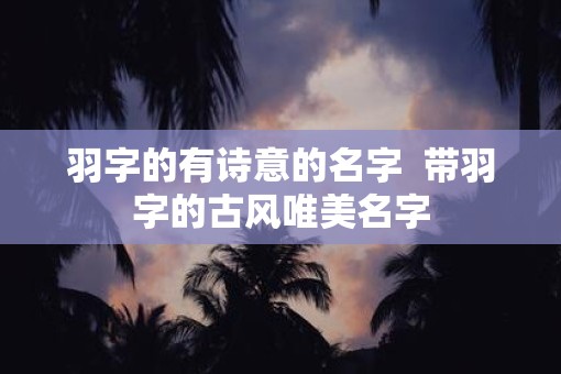 羽字的有诗意的名字 带羽字的古风唯美名字 羽字的有诗意的名字 带羽字的古风唯美名字