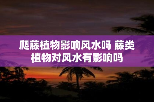 爬藤植物影响风水吗 藤类植物对风水有影响吗