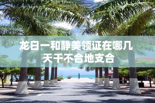 龙日一和静美领证在哪几  天干不合地支合