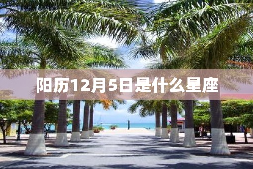 阳历12月5日是什么星座