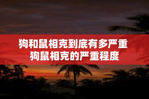 狗和鼠相克到底有多严重 狗鼠相克的严重程度
