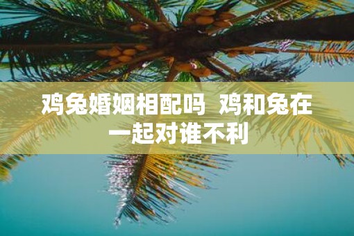 鸡兔婚姻相配吗  鸡和兔在一起对谁不利