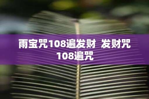 雨宝咒108遍发财  发财咒108遍咒