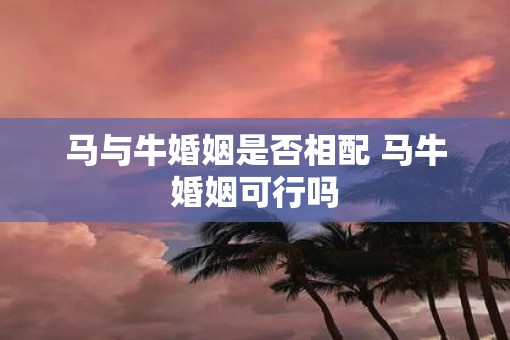 马与牛婚姻是否相配 马牛婚姻可行吗
