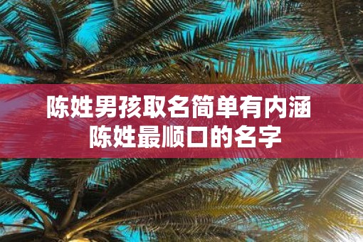 陈姓男孩取名简单有内涵  陈姓最顺口的名字
