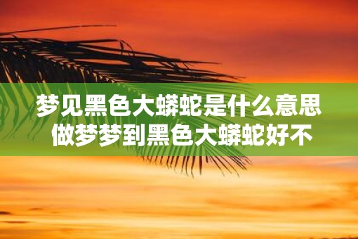 梦见黑色大蟒蛇是什么意思 做梦梦到黑色大蟒蛇好不好