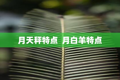 月天秤特点  月白羊特点