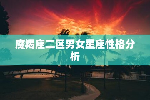 魔羯座二区男女星座性格分析