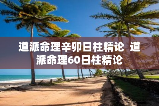 道派命理辛卯日柱精论  道派命理60日柱精论