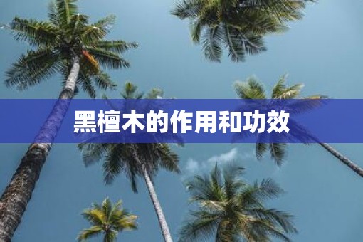 黑檀木的作用和功效