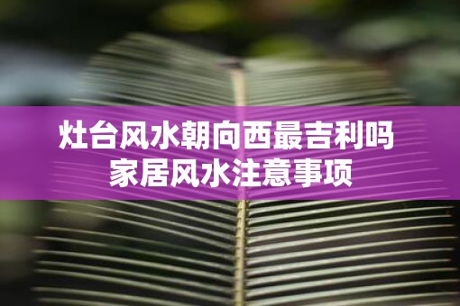 灶台风水朝向西最吉利吗 家居风水注意事项 灶台风水朝向西最吉利吗 家居风水注意事项