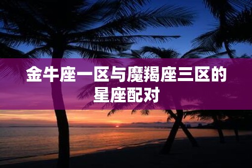 金牛座一区与魔羯座三区的星座配对