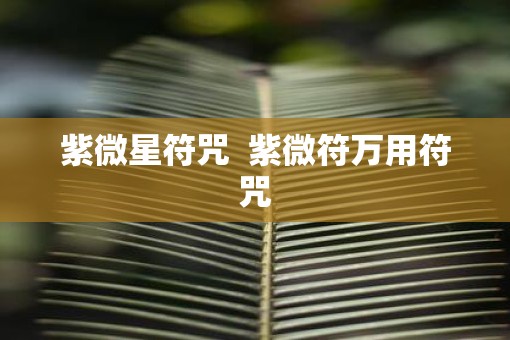 紫微星符咒  紫微符万用符咒