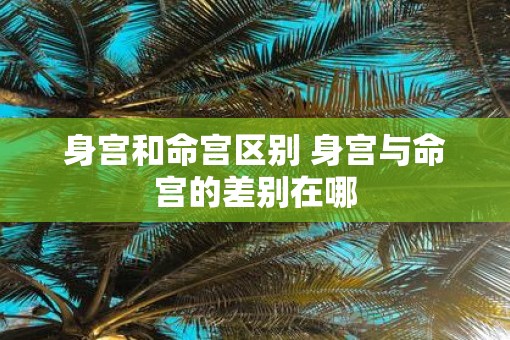 身宫和命宫区别 身宫与命宫的差别在哪