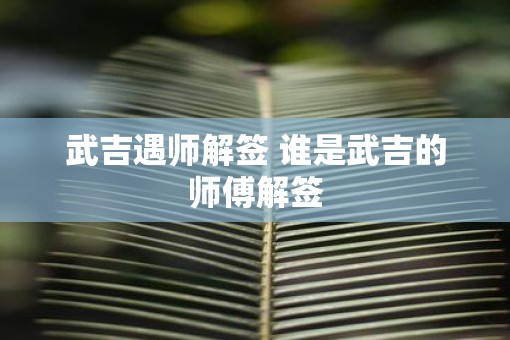 武吉遇师解签 谁是武吉的师傅解签