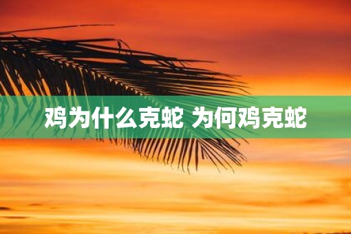 鸡为什么克蛇 为何鸡克蛇